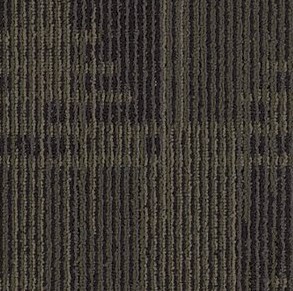 Set In Motion Tile